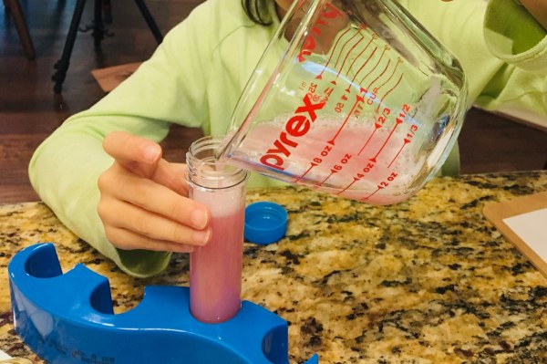 Strawberry DNA Extraction Activity for kids